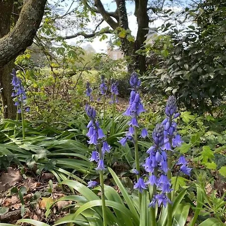 Chateau De St-fulgent, Le Parc
